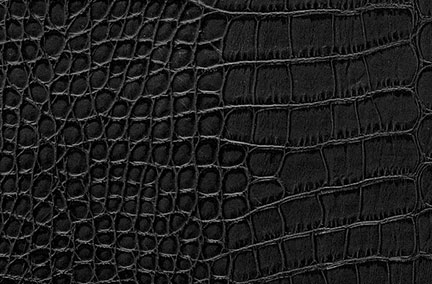 Leather Black Alligator
